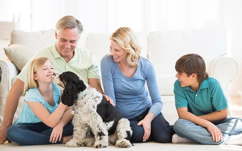 Heat Pump Maintenance Now Means a Cooler Summer